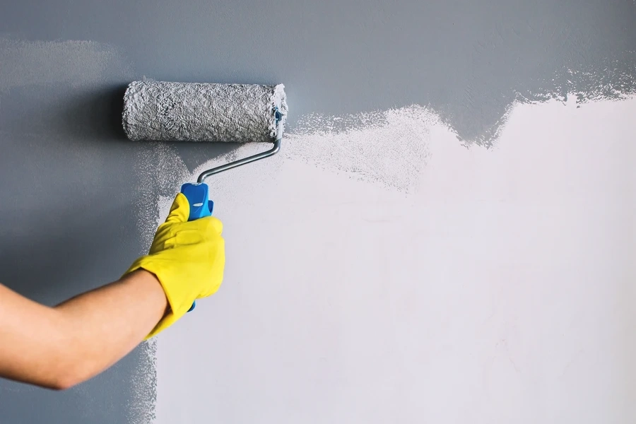 What To Expect From Professional Painting Services in Imperial Beach, CA